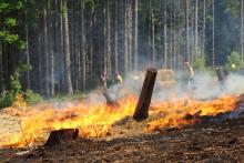 Forest Camp International 2024 - międzynarodowe manewry strażackie