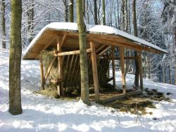 infrastruktura łowiecka pasnik.JPG