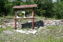 szkody hałda storczykowa Złoty Stok.JPG