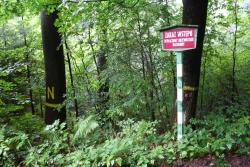 WDN daglezjowy l-ctwo Opolnica2.JPG