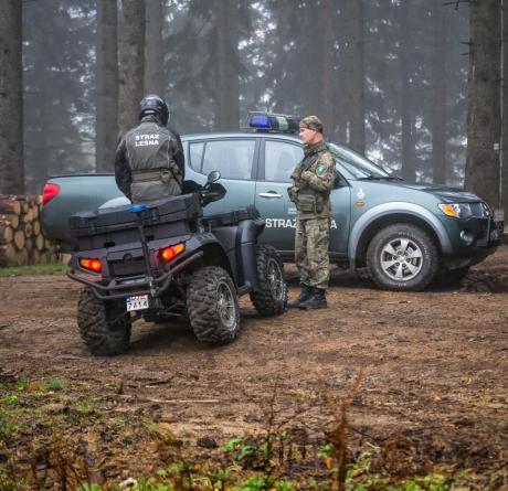 Bezpieczna jesień w polskich lasach. Straż Leśna rozpoczyna akcję „Jesień 26”